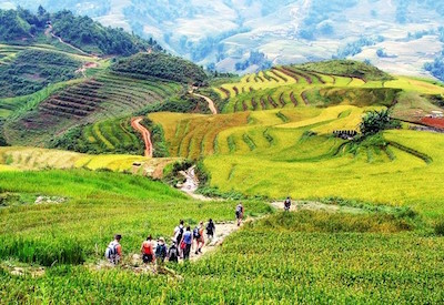 Mai Chau